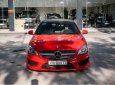 Mercedes-Benz CLA 250 2016 - Xe đẹp, 1 chủ từ đầu, nội thất mới