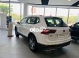 Volkswagen Tiguan CHƯƠNG TRÌNH ƯU ĐÃI  Bình Dương_ E 2022 - CHƯƠNG TRÌNH ƯU ĐÃI Volkswagen Bình Dương_Tiguan E