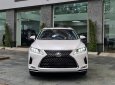 Lexus RX 350 2020 - Xe nhập khẩu chính hãng