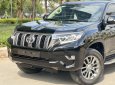 Toyota Land Cruiser Prado 2020 - Biển tỉnh xe cực mới