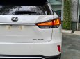 Lexus RX 350 2020 - Xe nhập khẩu chính hãng