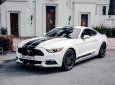 Ford Mustang 2015 - Nhập Mỹ thêm option pô full Res