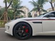 Jaguar F Type 2014 - Màu trắng, nội thất đỏ