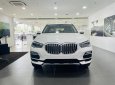 BMW X5 2022 - Giá 4 tỷ 019 triệu - Sẵn giao ngay