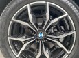 BMW X4 2022 - 3 tỷ 499 triệu
