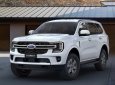 Ford Everest 2022 - Giảm giá 30 triệu tiền mặt - Mua xe chỉ cần 199 triệu, khuyến mại phụ kiện chính hãng và bảo hiểm