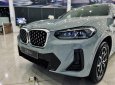 BMW X4 2022 - Nhiều quà tháng 11, hỗ trợ giấy tờ nhận xe tháng 12