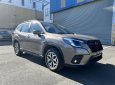 Subaru Forester 2022 - Giá chỉ từ 1.099tr, nhập khẩu, số tự động - Liên hệ nhận giá ưu đãi nhất, giảm giá sock