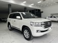 Toyota Land Cruiser VX 2016 - Cần bán xe Toyota Land Cruiser VX sản xuất năm 2016, màu trắng xe một chủ từ đầu 