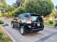 Toyota Land Cruiser Prado land prado 2011 - land prado