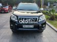 Toyota Land Cruiser Prado land prado 2011 - land prado