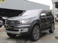 Ford Everest 2019 - Màu xám, nhập khẩu nguyên chiếc