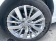 Honda City 2021 - Màu trắng, giá hữu nghị