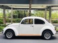 Volkswagen Beetle 2022 - Volkswagen Beetle 2022