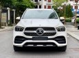 Mercedes-Benz GLE 450 2020 - Trắng, nội thất nâu