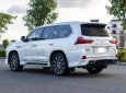 Lexus LX 570 2020 - Trắng - nội thất nâu