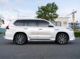 Lexus LX 570 2020 - Trắng - nội thất nâu