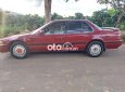 Honda Accord   tập lái giá rẻ 1990 - Honda accord tập lái giá rẻ