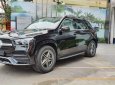 Mercedes-Benz GLE 450 2022 - Xe màu đen sang trọng