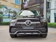 Mercedes-Benz GLE 450 2022 - Xe màu đen sang trọng