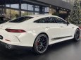 Mercedes-AMG GT 53 2022 - 1 chiếc duy nhất - Giao ngay