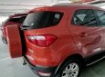 Ford EcoSport 2016 - Xe chính chủ