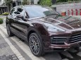 Porsche Cayenne 2019 - Xe nhà trùm màn