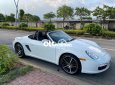 Porsche Boxster  BOXTER MUI TRẦN 2008 - PORSCHE BOXTER MUI TRẦN