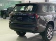 Ford Everest 2023 - xe màu đen