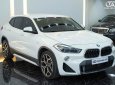 BMW X2 2018 - Xe được chăm sóc và bảo dưỡng kỹ càng