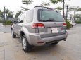 Ford Escape 2013 - Giá 379tr