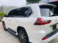 Lexus LX 570 2020 - Xe cực chất