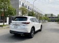 Mazda CX-8 2019 - Bao test toàn quốc