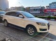 Audi Q7 2009 - Nhập khẩu nguyên chiếc