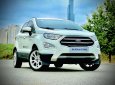 Ford EcoSport 2019 - Màu trắng