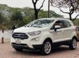 Ford EcoSport 2019 - Bán ô tô đăng ký 2019, xe gia đình giá tốt 515tr