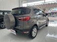 Ford EcoSport 2017 - Xe cá nhân