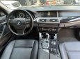 BMW 520i 2014 - Nâu Havana