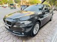 BMW 520i 2014 - Nâu Havana