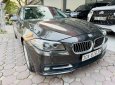 BMW 520i 2014 - Nâu Havana