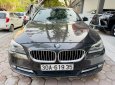 BMW 520i 2014 - Nâu Havana