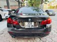 BMW 520i 2014 - Nâu Havana