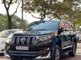 Toyota Land Cruiser Prado 2010 - Xe độ nguyên con