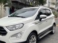 Ford EcoSport 2020 - Xe màu trắng