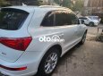 Audi Q5 Chính chủ cần bán xe   2010 - Chính chủ cần bán xe Audi Q5