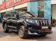 Toyota Land Cruiser Prado 2010 - Xe độ nguyên con