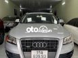 Audi Q5   nhập Đức 2010 - Audi Q5 nhập Đức