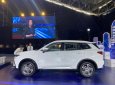 Ford Territory 2023 - Hỗ trợ trả góp và đăng kí. Đủ màu