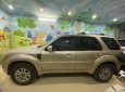 Ford Escape 2010 - Xe gia đình đi ít