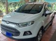 Ford EcoSport 2014 - Chính chủ cần bán xe 